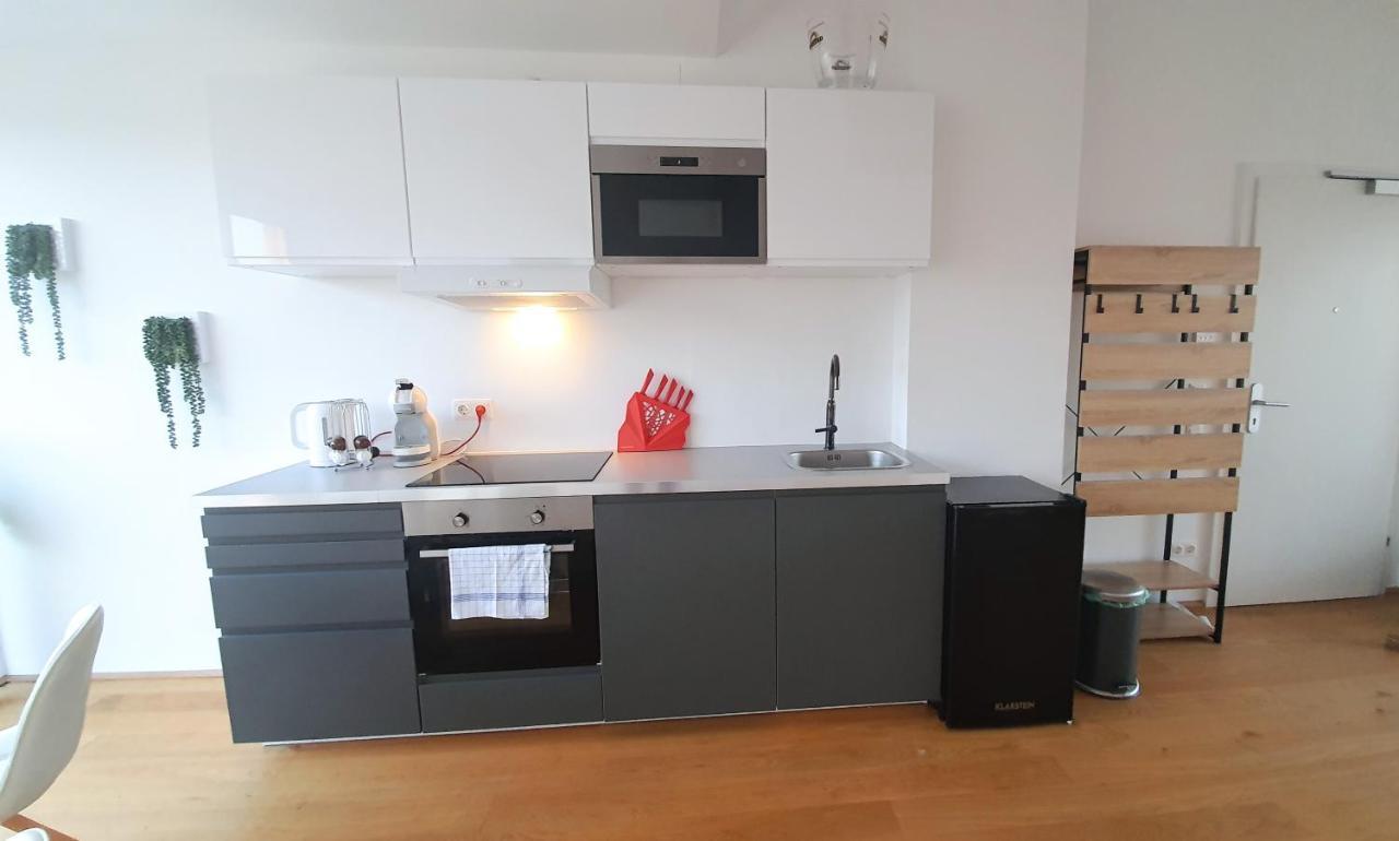 Rooftop Terrace, Free Garage Parking And Pool! Appartement Wenen